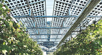 Derniers blogs de l'entreprise sur L'Italie publie de nouvelles réglementations sur la sélection des sites pour les projets solaires et les incitations fiscales solaires